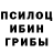 Псилоцибиновые грибы прущие грибы Ksenia Lichidova