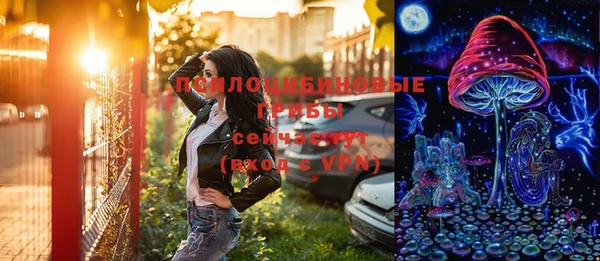a pvp Аркадак