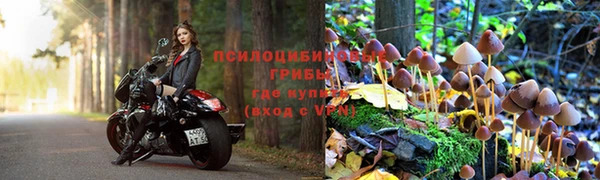 a pvp Аркадак
