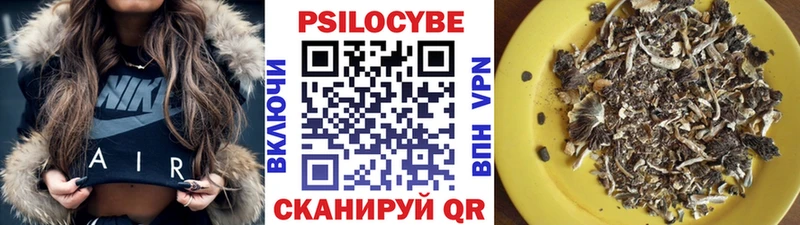 Псилоцибиновые грибы прущие грибы  закладка  Иннополис 